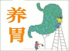 胃炎總治不好，明日葉帶給你健康